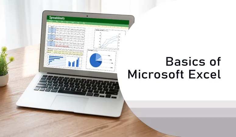 Basics of Microsoft Excel Course